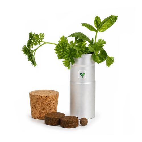 Jardin de bureau avec herbes aromatiques - image 1